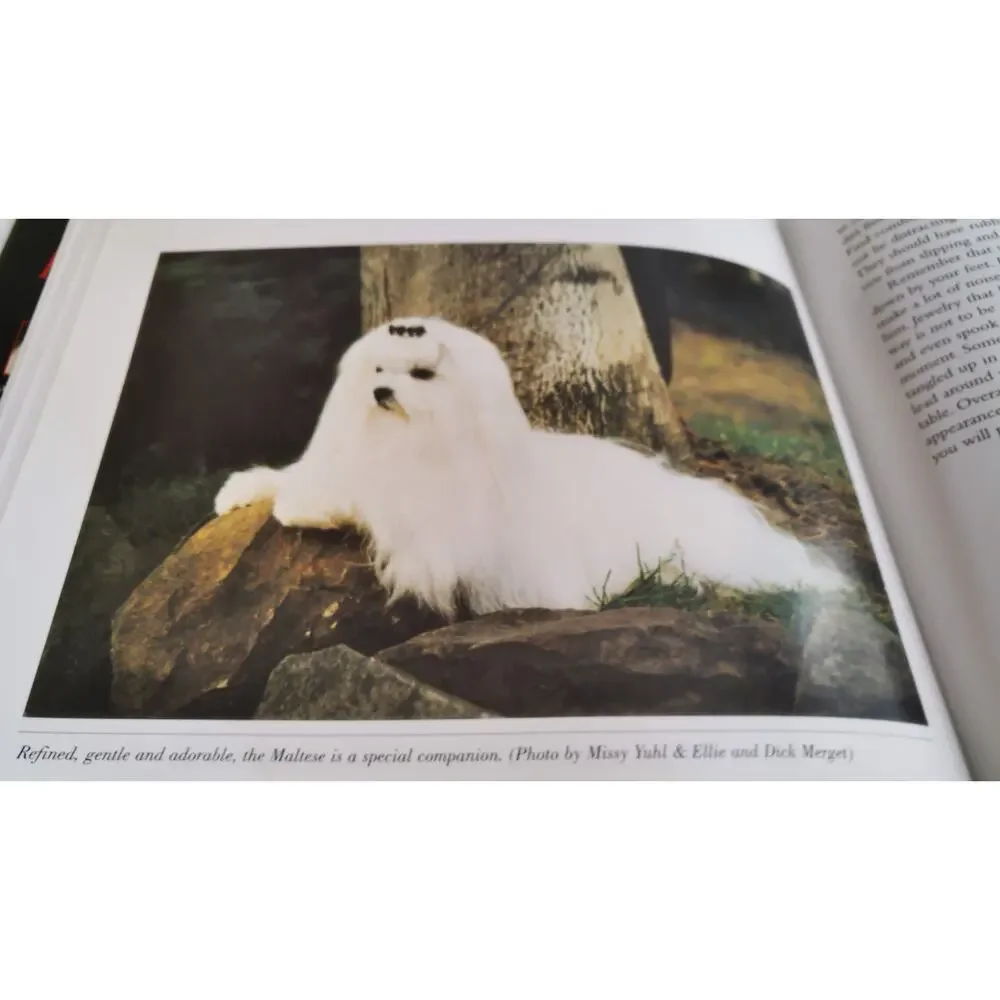 The Maltese Diminitive Aristocrat By Nicki Abbott‎